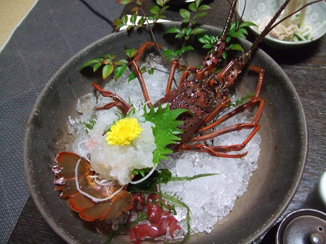 http://www.uchida-kk.jp/blog/hatsur002.jpg
