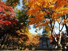 1盛岡城跡公園.JPG